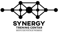 SYNERGY TRENING CENTAR - MESTO GDE POČINJE PROMENA