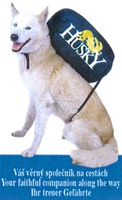 HUSKY