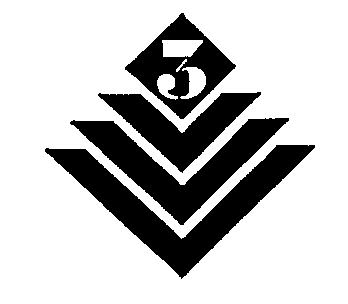 3V