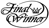 Final Winner