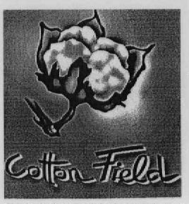 Cotton Field