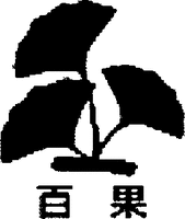  BAI GUO 