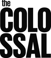 the COLOSSAL
