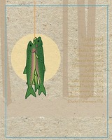 Trout [Trout] Iridescent and Colourful, Trout are Found Darting in Many of the Worlds Glistening Fresh and Salt Waters. Manifesting in a Variety of Species, the Trout will