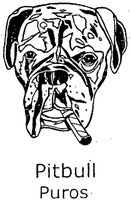 Pitbull Puros