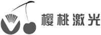 YING TAO JI GUANG