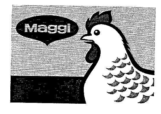 Maggi