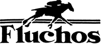 Fluchos