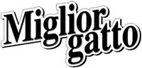 Miglior gatto