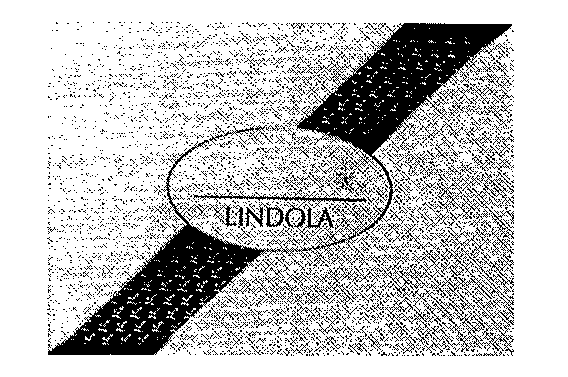 LINDOLA