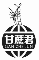 GAN ZHE JUN