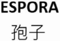ESPORA