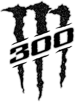 M 300