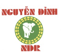 NGUYEN DINH NDR