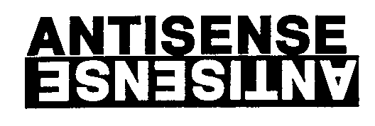 ANTISENSE