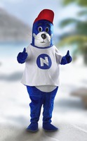 N