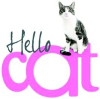 Hello cat