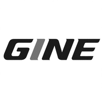 GINE
