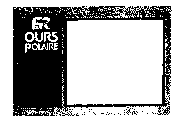 OURS POLAIRE