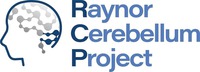 Raynor Cerebellum Project