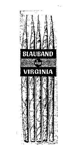 BLAUBAND VIRGINIA