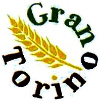 Gran Torino