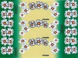 ROSHEN
