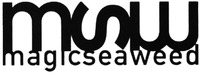 msw magicseaweed