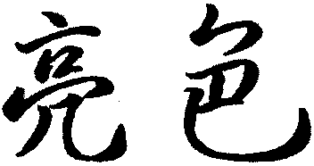 LIANG SE.