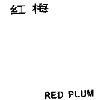 RED PLUM