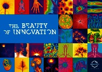 THE BEAUTY OF INNOVATION