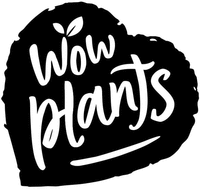 Wow plants