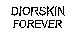 DIORSKIN FOREVER FOREVER