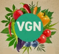 VGN