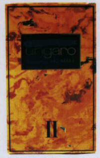 ungaro POUR L'HOMME
