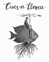 Cueva Llana