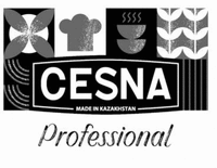 CESNA MADE IN KAZAKHSTAN Professional