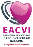 EACVI EUROPEAN ASSOCIATION OF CARDIOVASCULAR IMAGING A Registered Branch of the ESC