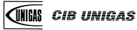 UNIGAS CIB UNIGAS