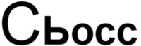  SYOSS 