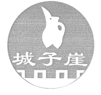 CHENG ZI YA.