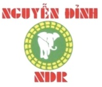 NGUYỄN ĐỈNH NDR