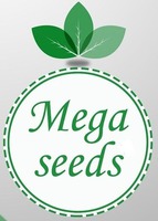 Mega Seeds