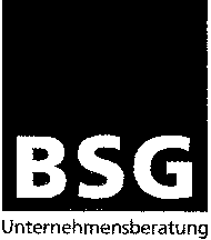 BSG Unternehmensberatung