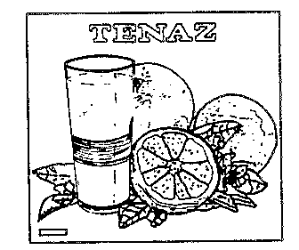 TENAZ