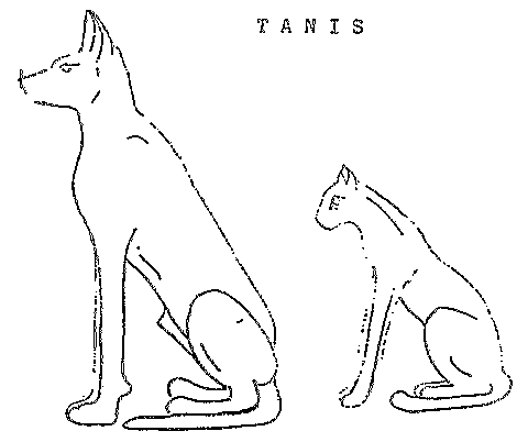 TANIS