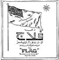 THE FLAG