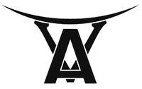 A V
