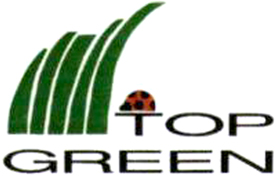 TOP GREEN