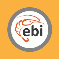 ebi